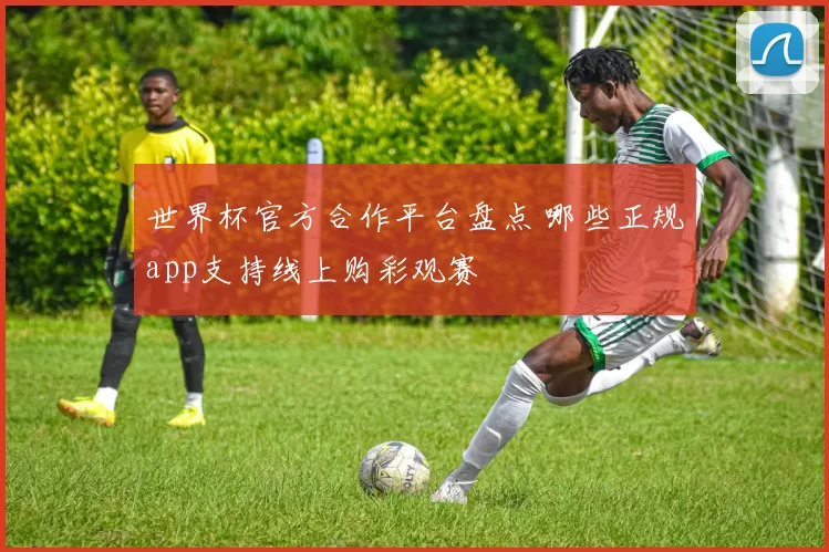 世界杯官方合作平台盘点 哪些正规app支持线上购彩观赛