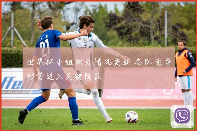 世界杯小组积分情况更新 各队竞争形势进入关键阶段